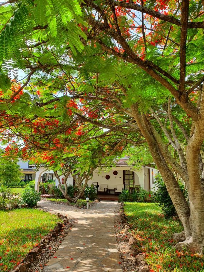 Flame Tree Cottages Нунгви Екстериор снимка