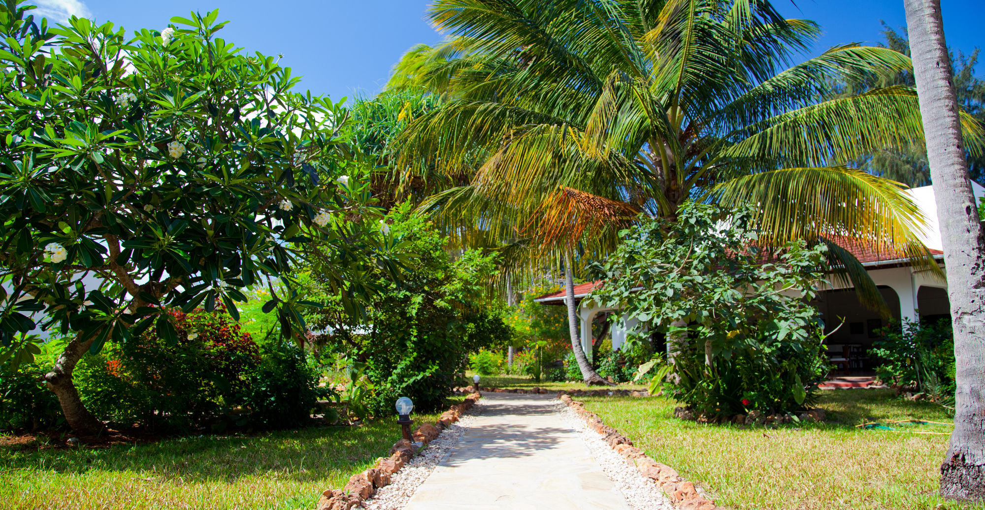 Flame Tree Cottages Нунгви Екстериор снимка